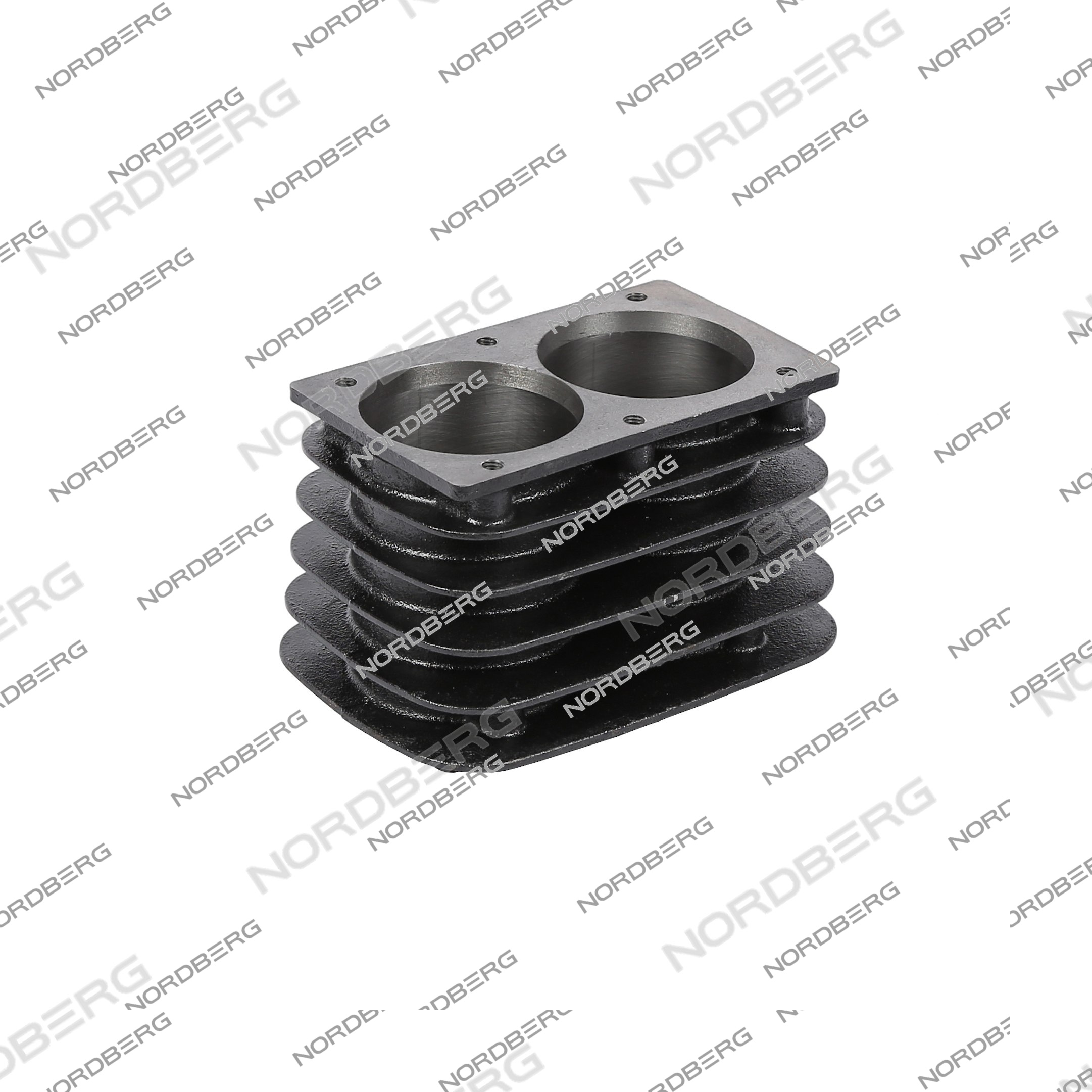 Цилиндр для NCE300/810